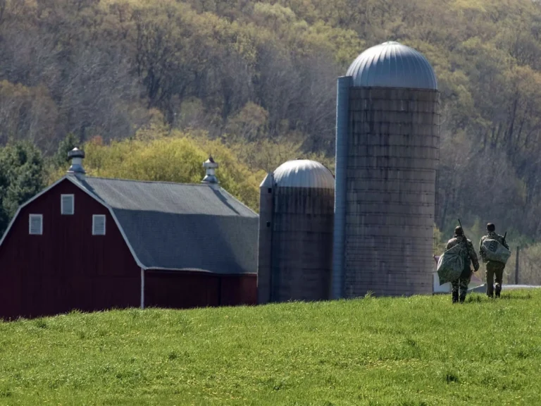 Screen Shot 2025-10-14 at 11.53.33 AM