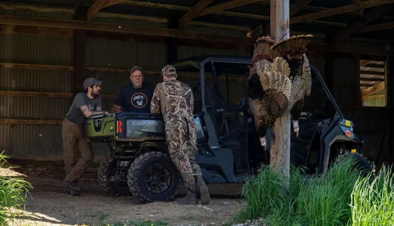 Screen Shot 2025-10-14 at 12.12.48 PM